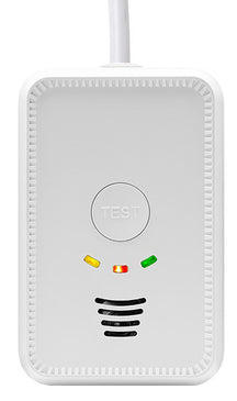 12V LPG & CO Gas Alarm 2-in-1 – Campervan Gas Detector