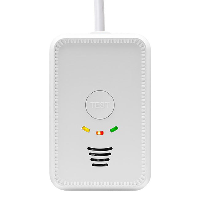 12V LPG & CO Gas Alarm 2-in-1 – Campervan Gas Detector